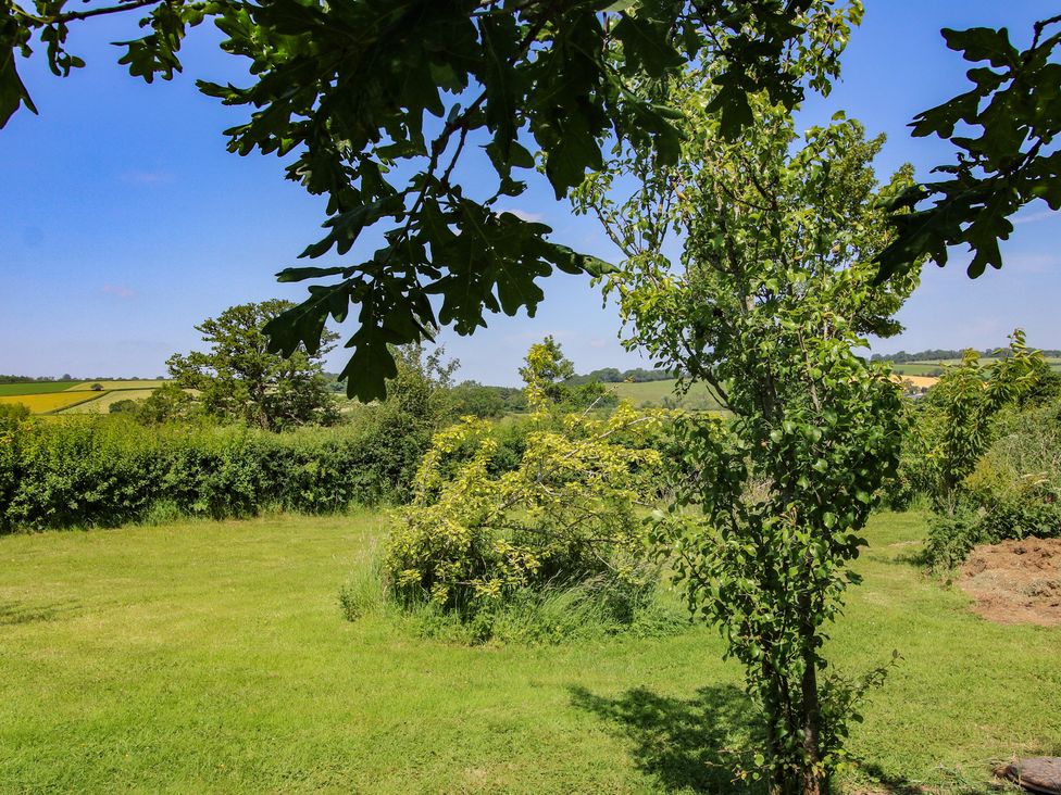 A garden with trees and grass at Leafy Oaks Cabin in Munslow