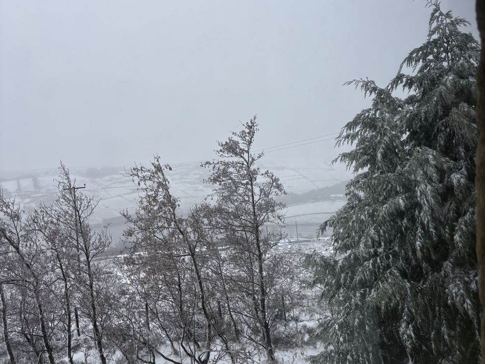 Snowy landscape with trees and field at Daisy Mount in Keighley