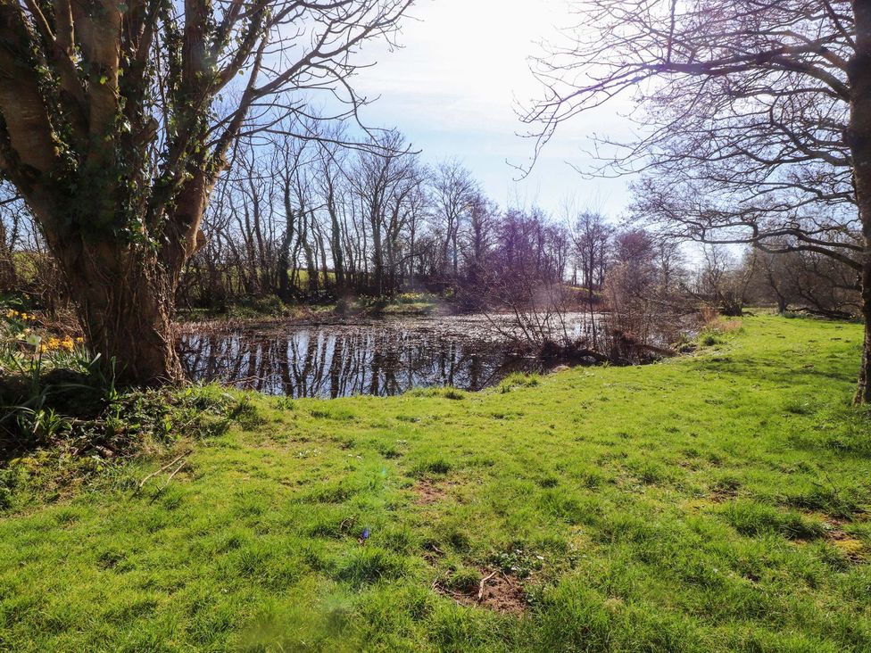 A view of a pond surrounded by trees and grass at Fullers Studio in Caergeiliog