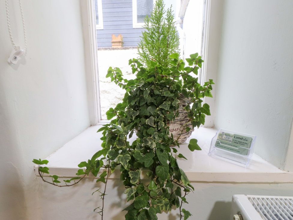 A plant on a windowsill at Ty Crigyll in Holyhead