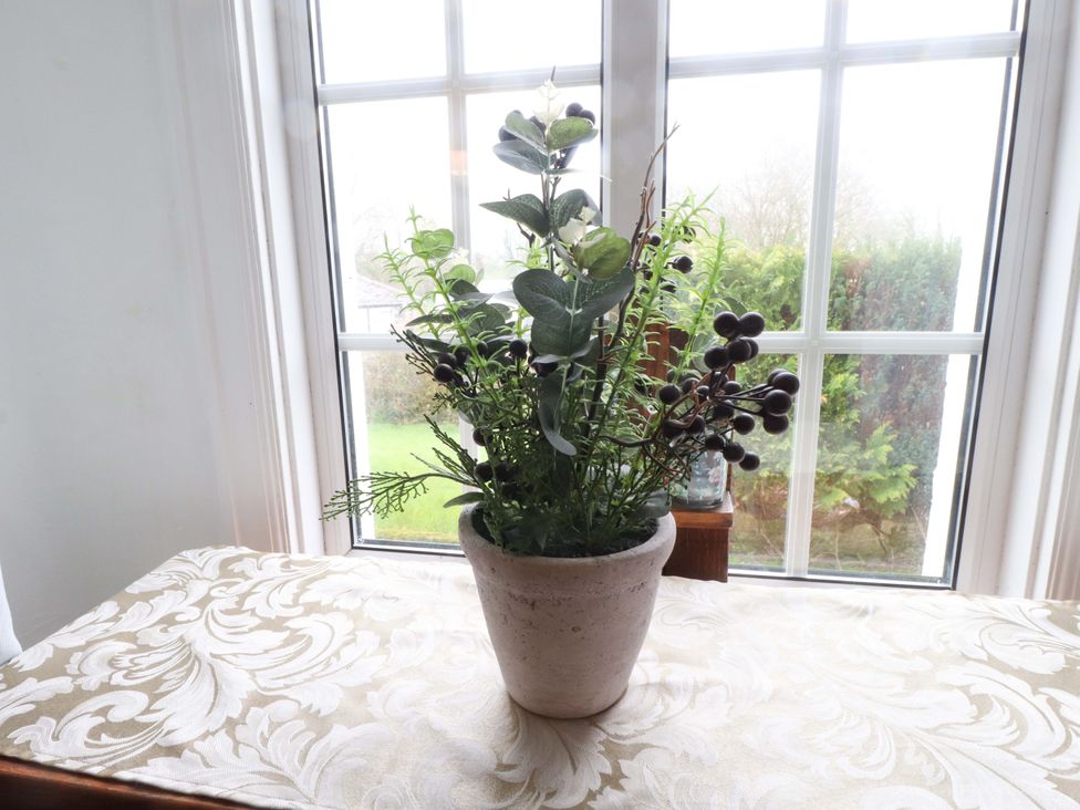 A plant in a pot on a table by a window at Ty Crigyll in Holyhead