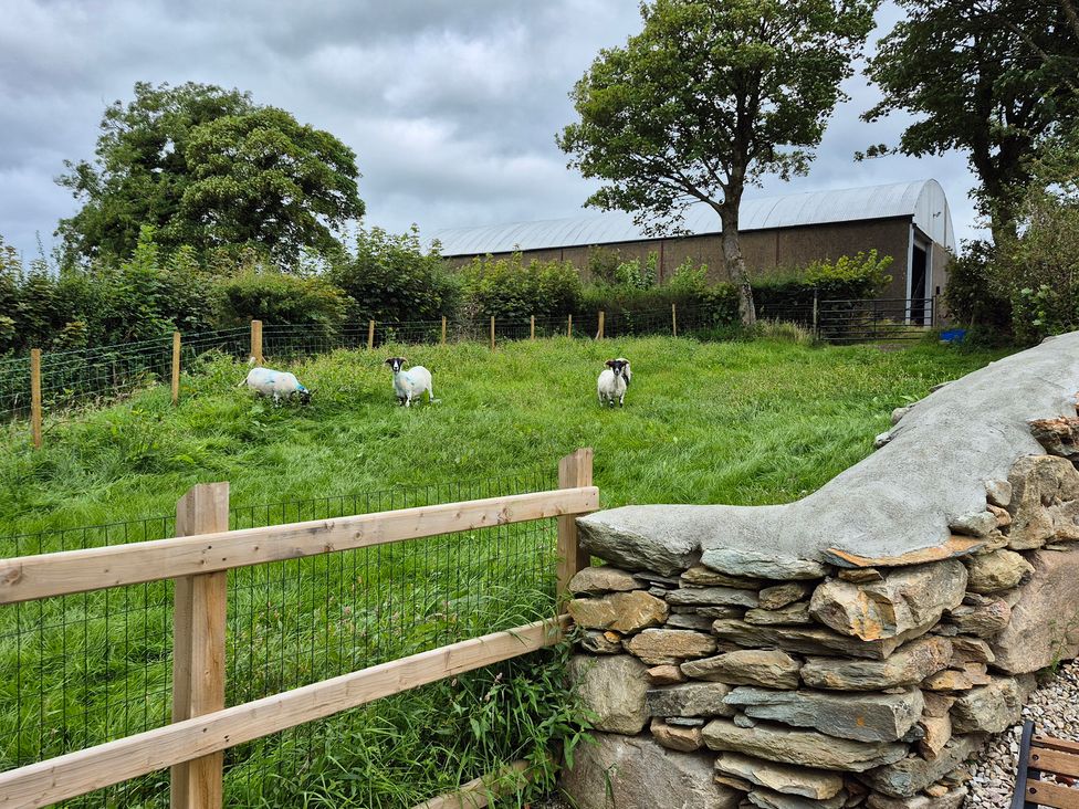A grassy area with sheep and a building at Annie’s Farm Cottage Near Londonderry, Northern Ireland