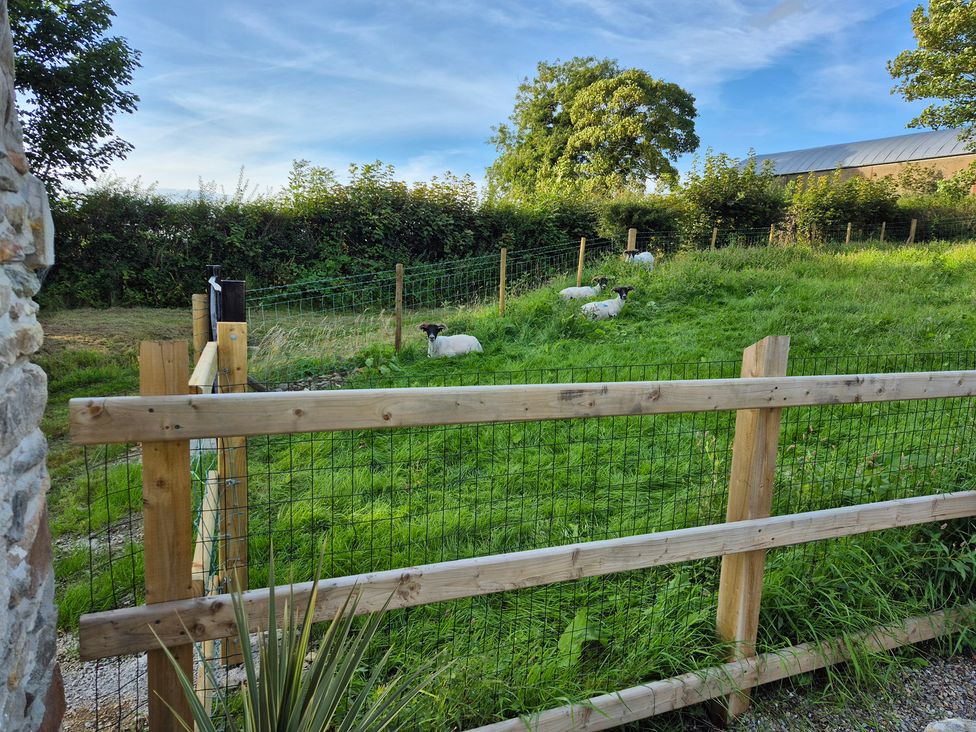 A fenced area with sheep grazing at Annie’s Farm Cottage Near Londonderry, Northern Ireland