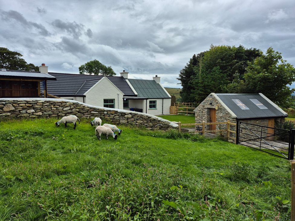 A farmhouse and barn with sheep grazing at Annie’s Farm Cottage near Londonderry, Northern Ireland