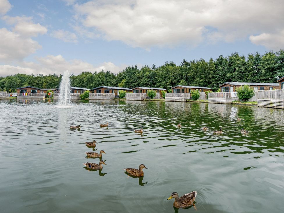 A pond with ducks and cabins at Birch Waterside Spa, Carlton Miniott near Thirsk