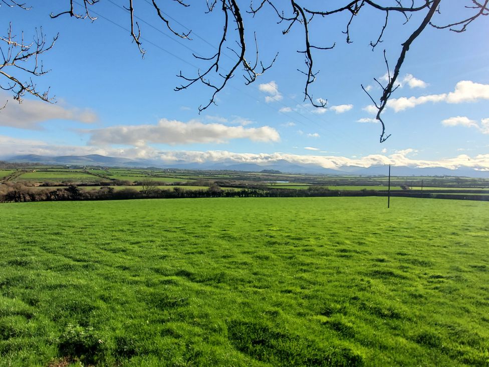 A green field with tree branches and clouds at Plas Marchog Lodge in Pentraeth