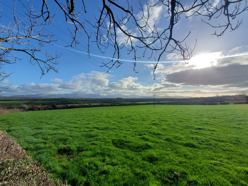 A field with grass and trees in the background at Plas Marchog Lodge, Pentraeth
