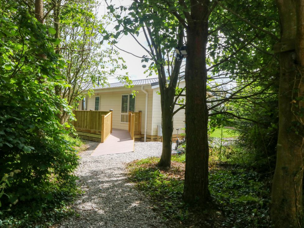A house with a deck and pathway surrounded by trees at Plas Marchog Lodge in Rhoscefnhir near Pentraeth