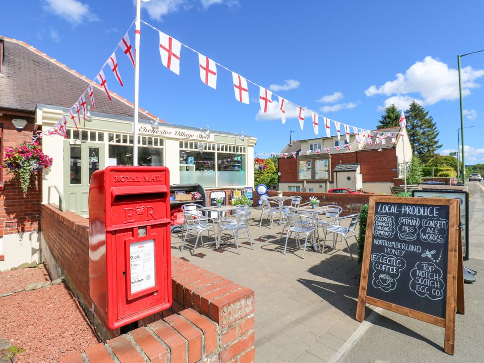 Mains Cottage - Northumberland - 1192565 - thumbnail photo 32