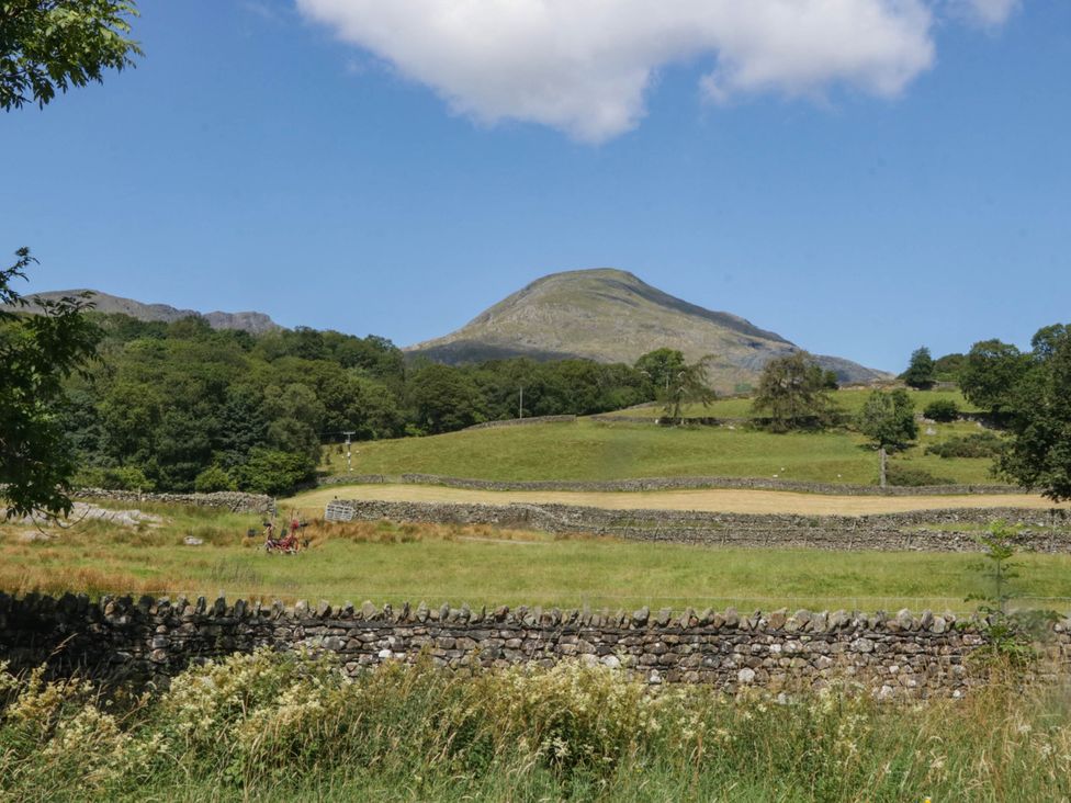 A mountain landscape with trees and stone walls at Cragg Cottage in Coniston