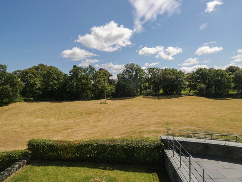 A field with trees and power pole at Cragg Cottage in Coniston