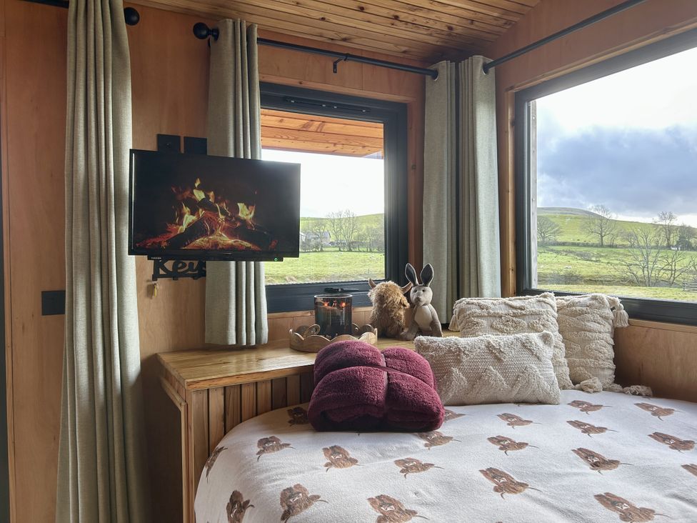 A bedroom with a television and window at Harriet in Llangurig