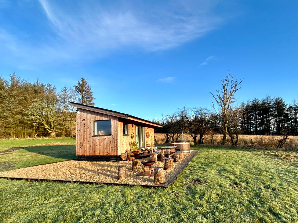 A wood cabin with outdoor table and seats in a grassy area at Harriet in Llangurig