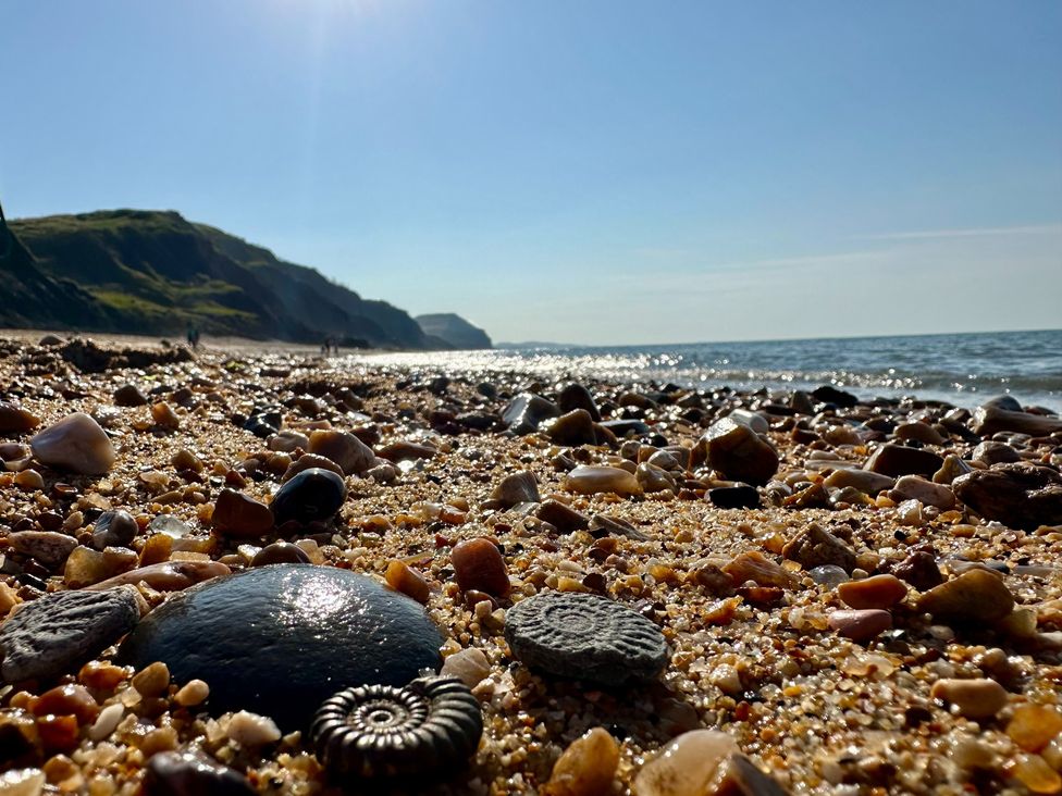 A beach with rocks and pebbles under sunlight at Garden Studio at Stanley House Charmouth