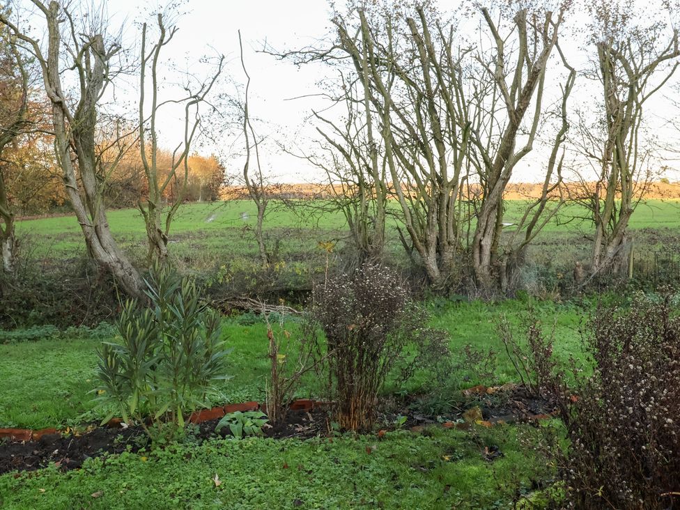 A garden with trees and grass at The Hare & the Bumblebee Cottage 