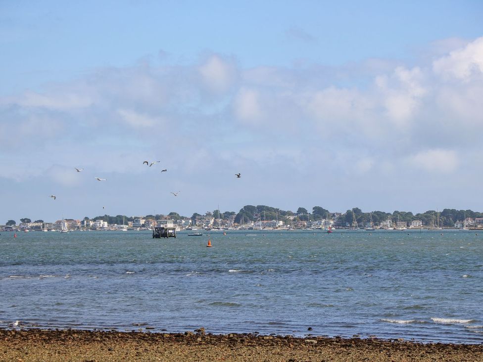 A view of water with birds and boats at Harbour View Poole in Poole