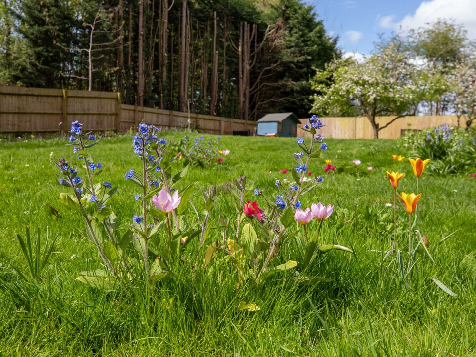 A garden with flowers and grass at Manor Farm Cottages in Loughton, Milton Keynes