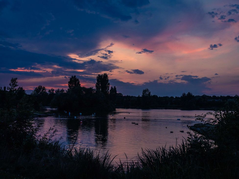 A scenic view of a lake at dusk with trees and ducks at Manor Farm Cottages Loughton, Milton Keynes
