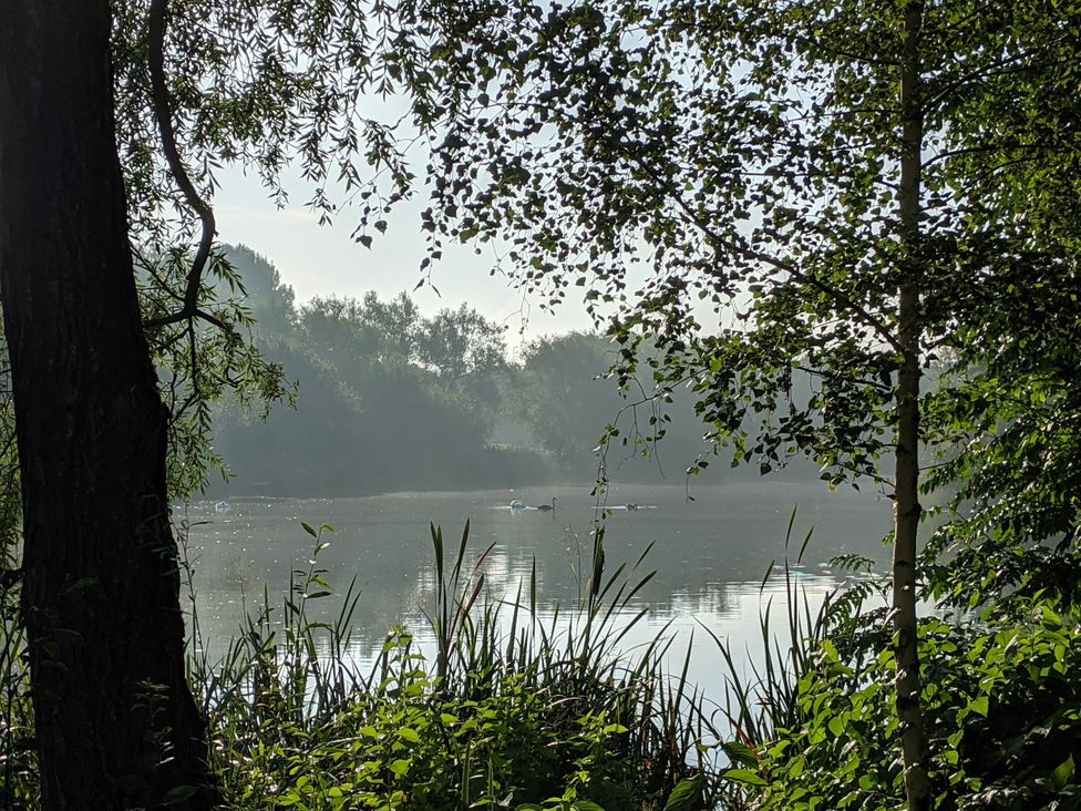 A lake with swans and trees surrounding it at Manor Farm Cottages in Loughton, Milton Keynes