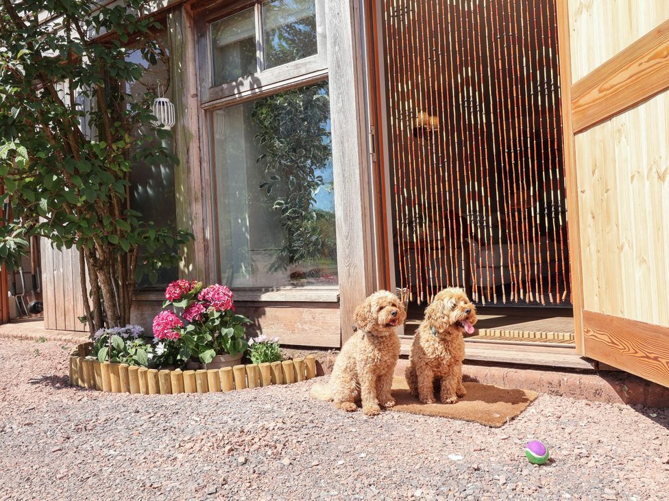 Two dogs sitting in front of a house entrance at Captains Barn Tiverton