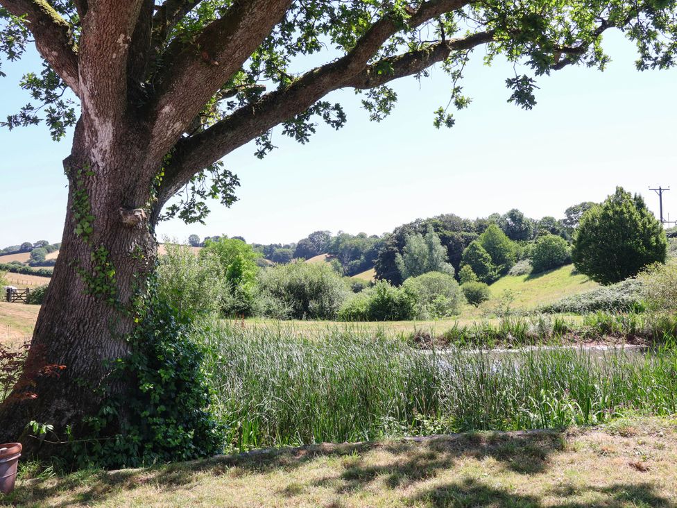 A countryside view with a tree and water at Captains Barn Tiverton