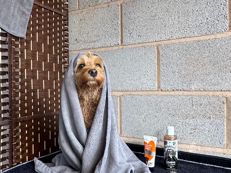 A dog wrapped in a towel next to grooming products at Captains Barn Cadeleigh near Tiverton