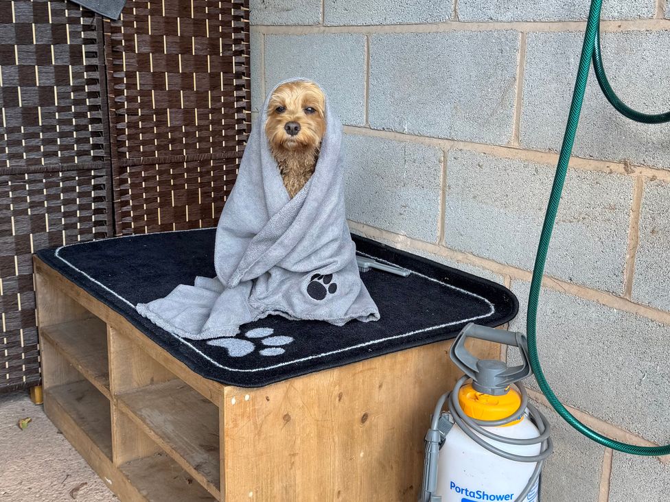 A dog wrapped in a blanket on a grooming table at Captains Barn Cadeleigh near Tiverton