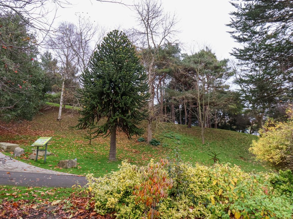 A park with a tree, sign, and path at Beachwalk Villa 3 in Whitby