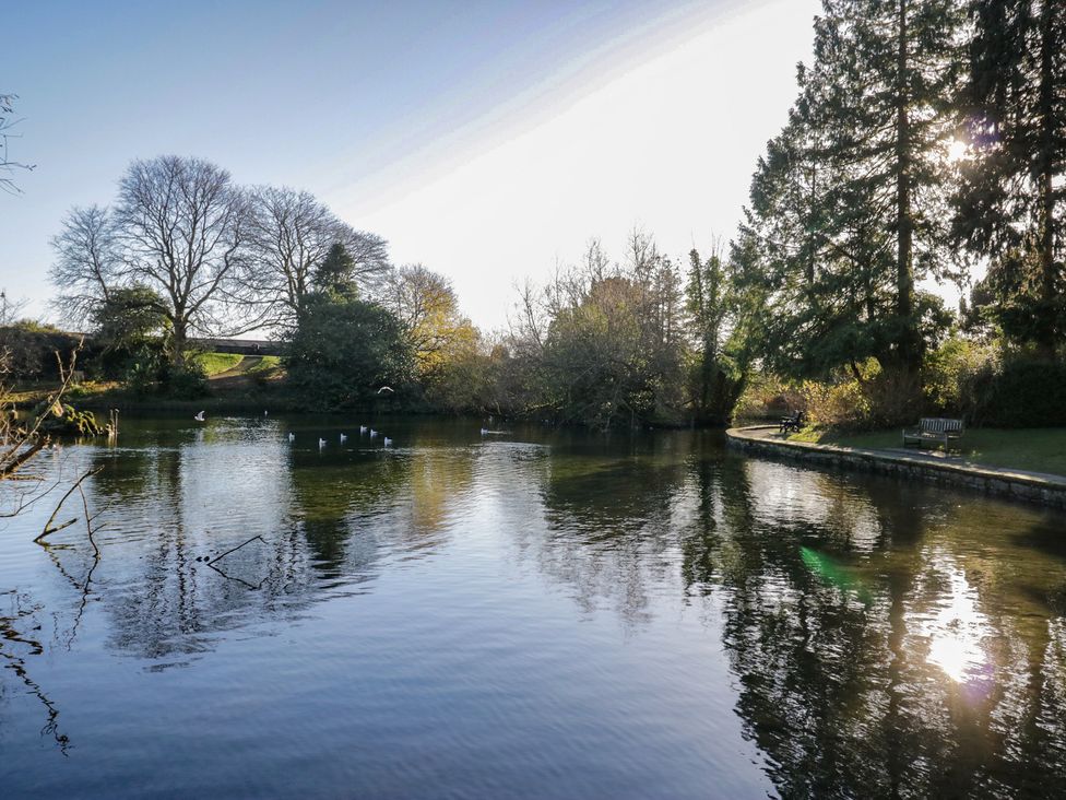 A pond surrounded by trees and a bench at Renes Shop Grange-Over-Sands