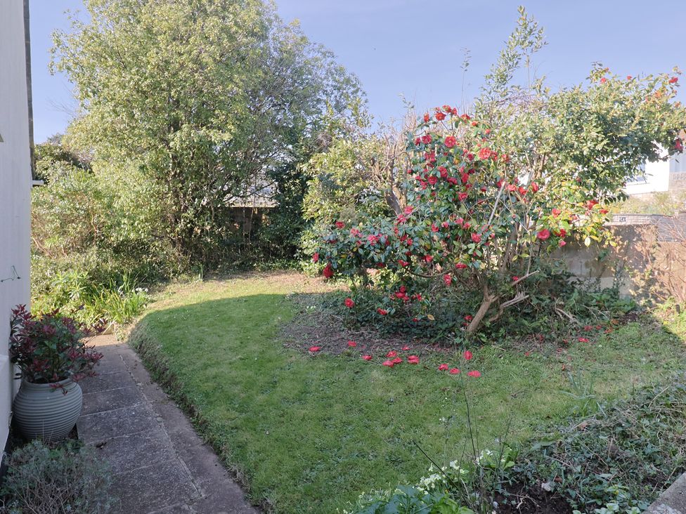 A garden with greenery and flowers at Fluta in Seaton