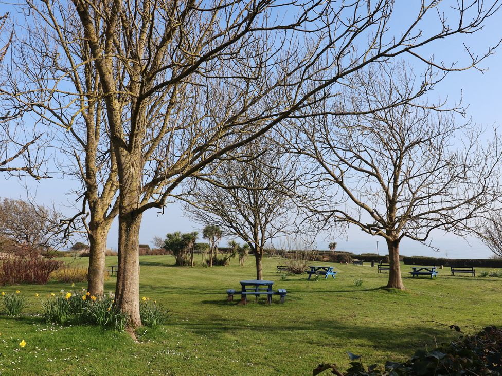 A garden with trees and picnic tables at Fluta in Seaton