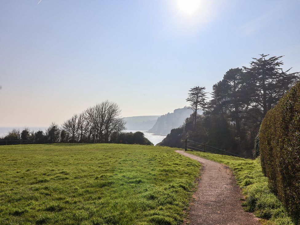 A path through grass with trees and ocean cliffs in the background at Fluta Seaton