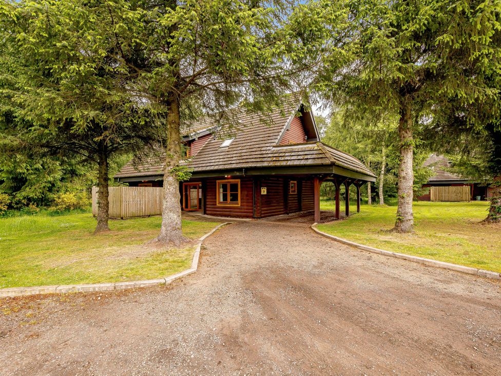 A house surrounded by trees at Eagle Spa Plus in Dundee