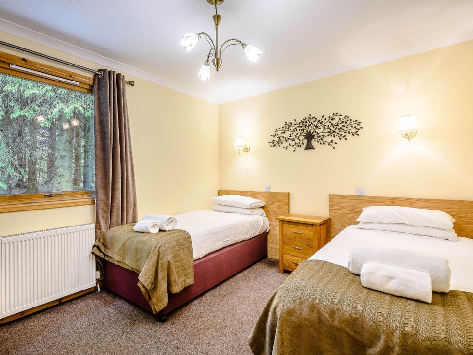 A bedroom with two beds and a tree wall decor at Barnard Lodge in Dundee