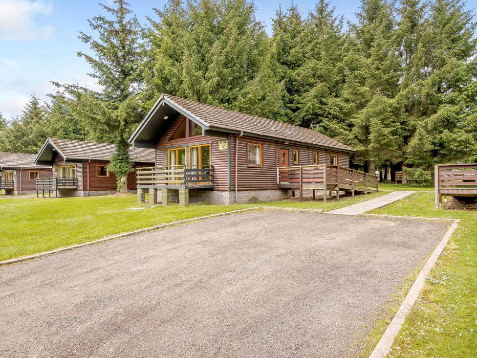 A cabin surrounded by trees and a gravel path at Osprey Lodge in Dundee