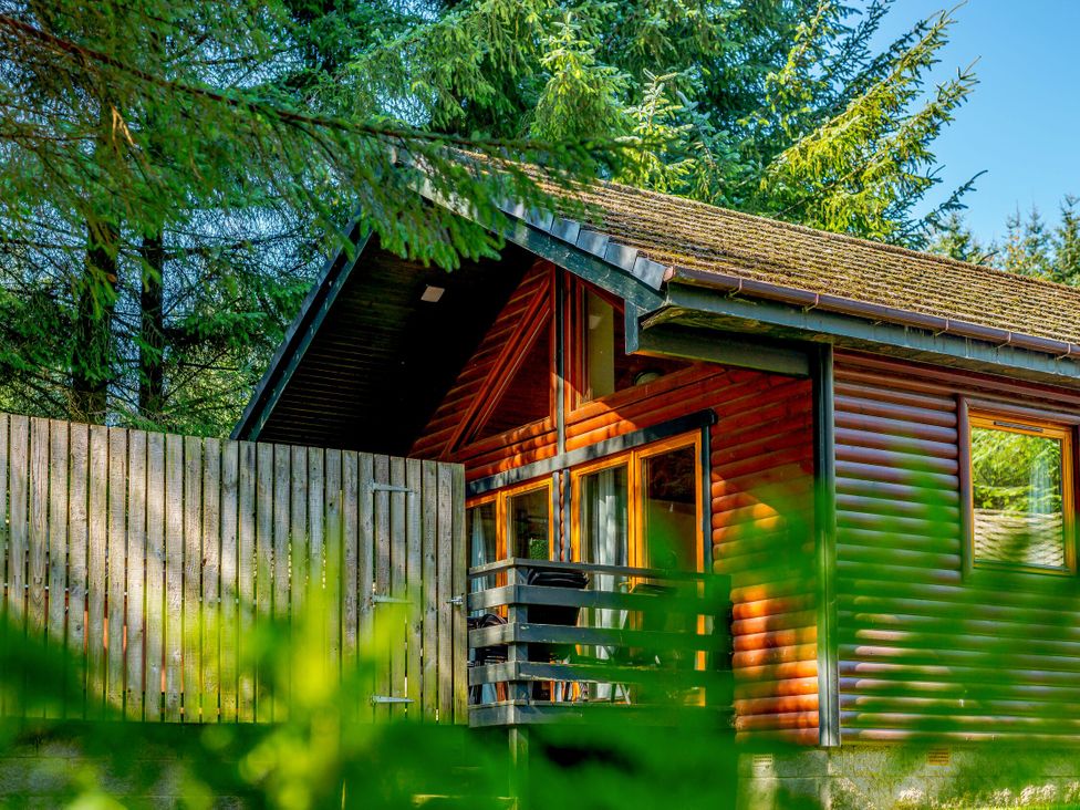 A wooden cabin surrounded by trees at Osprey Spa Dundee