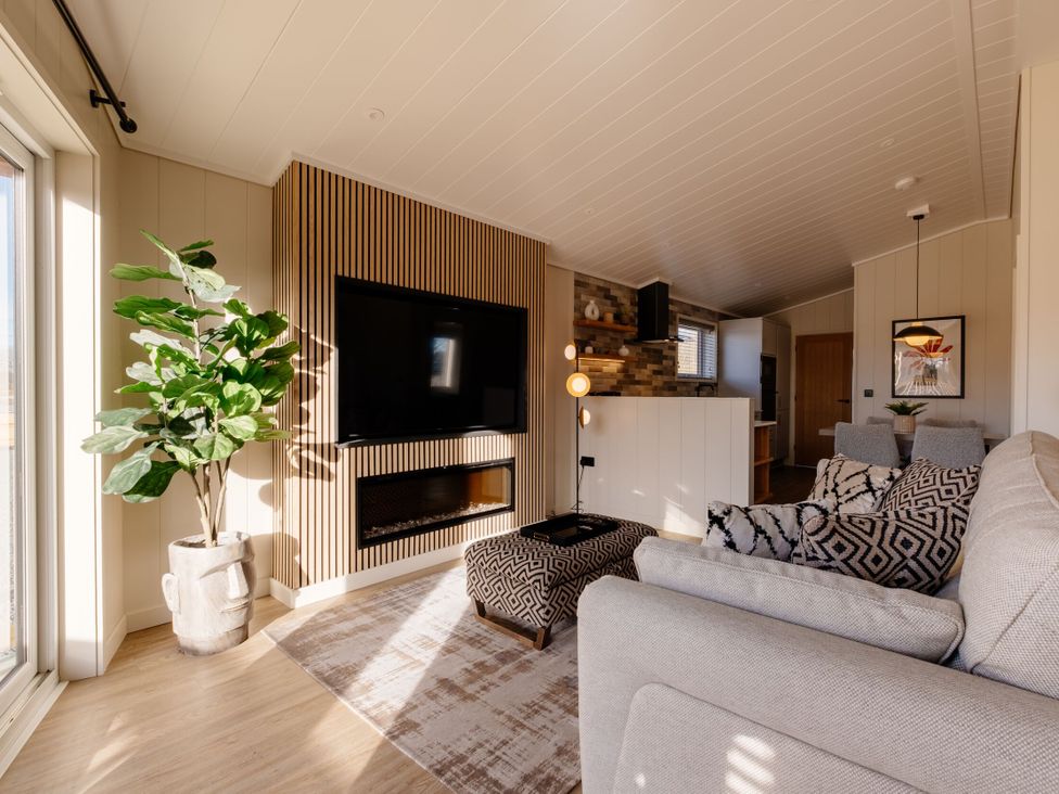 A living room with a television, fireplace and a plant at The Luxury Retreat in Waltham