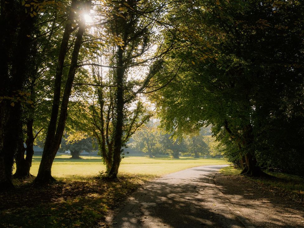 A path surrounded by trees in a park at Woodland Lodge Spa Praze-An-Beeble