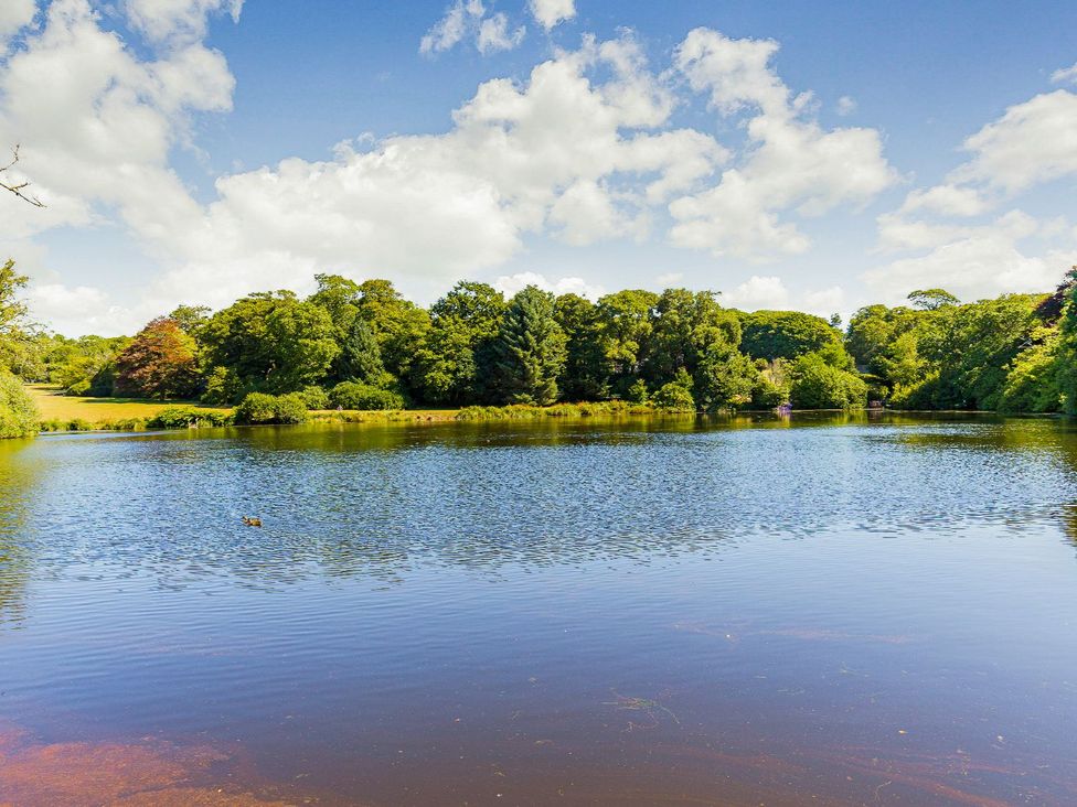 A lake surrounded by trees at Argel Spa in Praze-An-Beeble