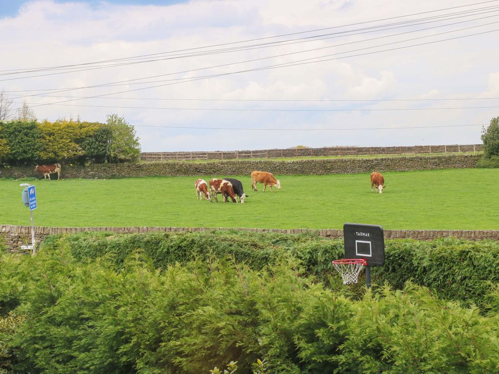 A field with cows grazing and a basketball hoop at Chapel House Annex in Scholes