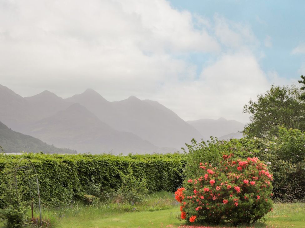 A garden with a flowering bush and mountains in the background at Druidaig Lodge in Kyle