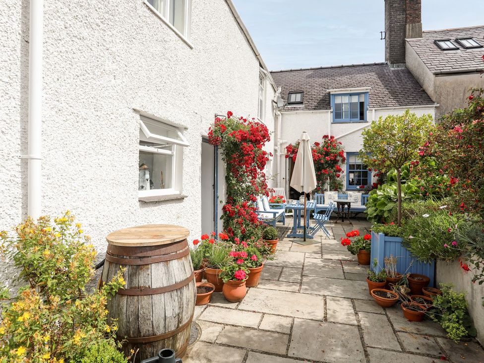 Bryn Tegid - North Wales - 1193082 - thumbnail photo 34