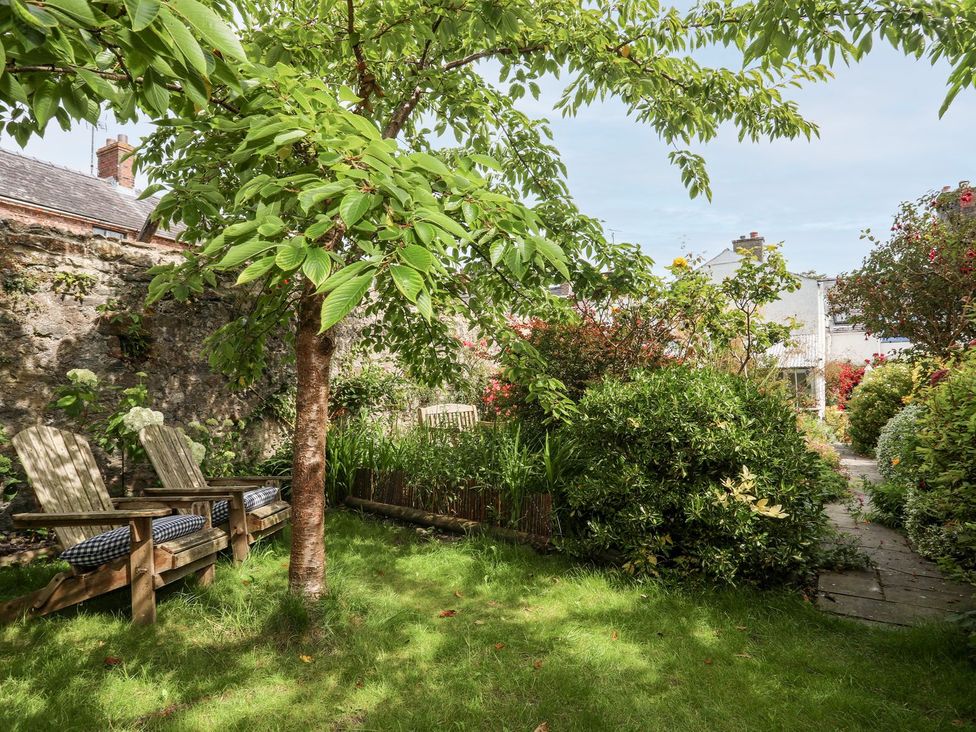 A garden with a tree and benches at Bryn Tegid Beaumaris