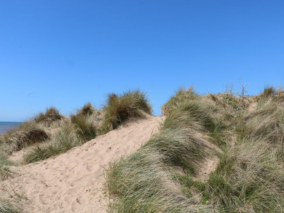 A sandy dune with grass under a blue sky at Apartment 1