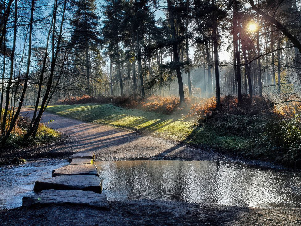 A path with stepping stones and trees in a forest at Nightingale House Stafford