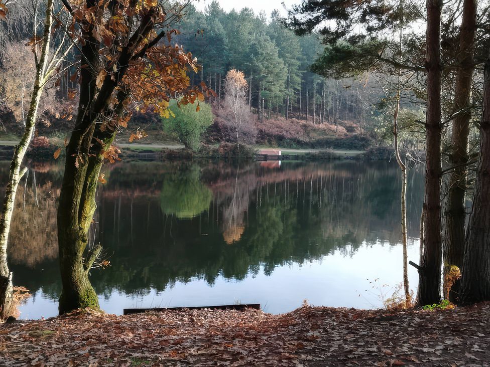 A lake surrounded by trees and leaf debris at Nightingale House, Stafford