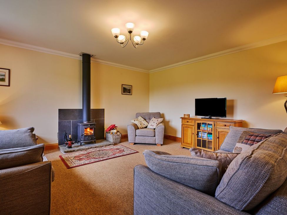 A living room with a wood stove and television at Hazel Lodge in Blairgowrie