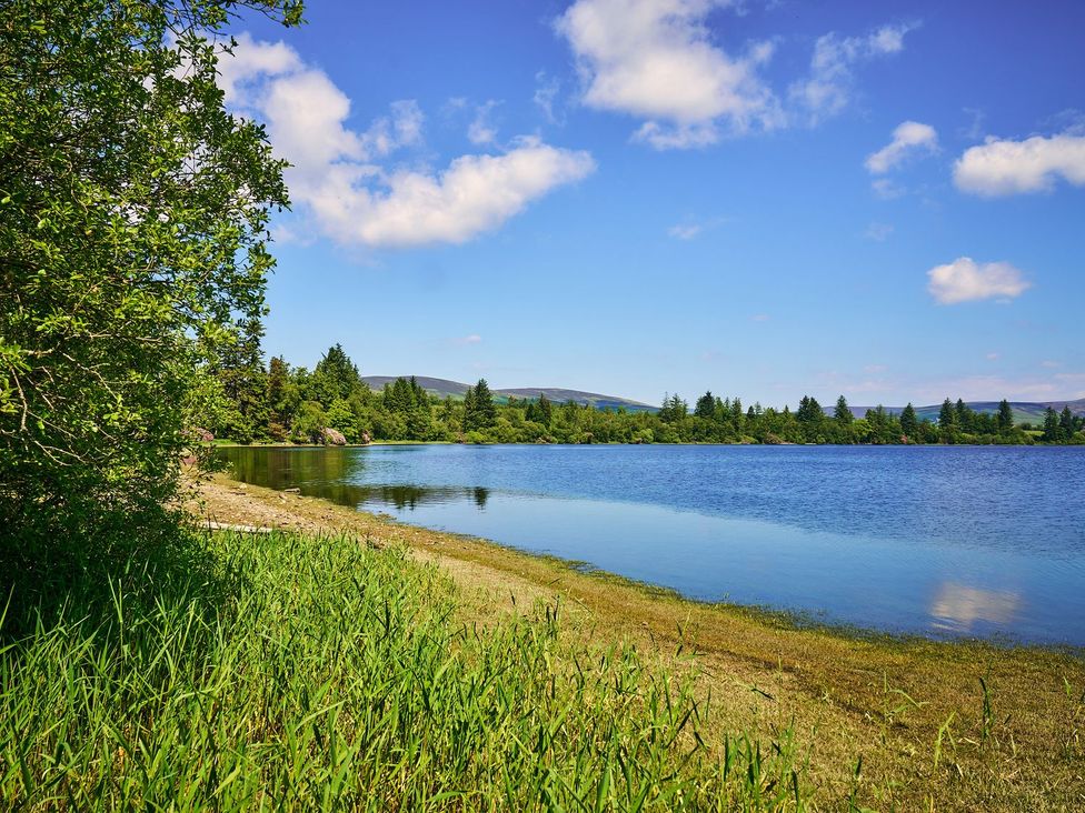 A lake with trees and grass under a blue sky at Hazel Lodge in Blairgowrie