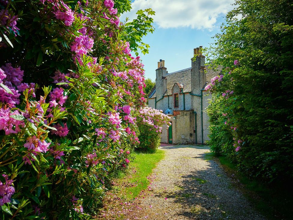 A house with flowers along the pathway at West Lodge in Kirriemuir
