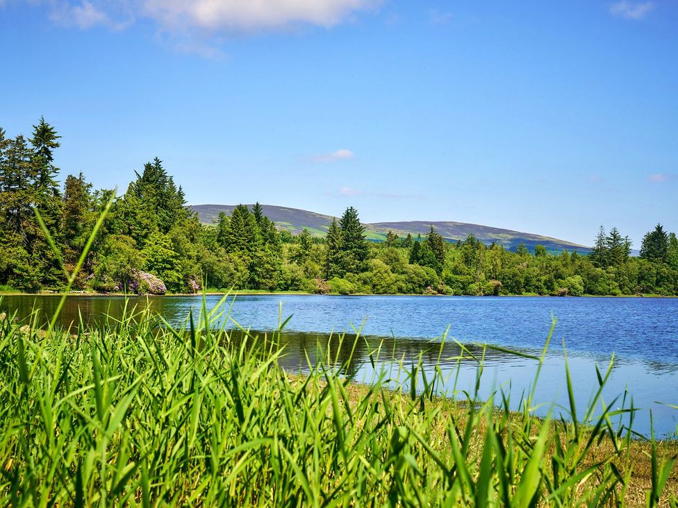 A lake surrounded by grass and trees at West Lodge in Kirriemuir